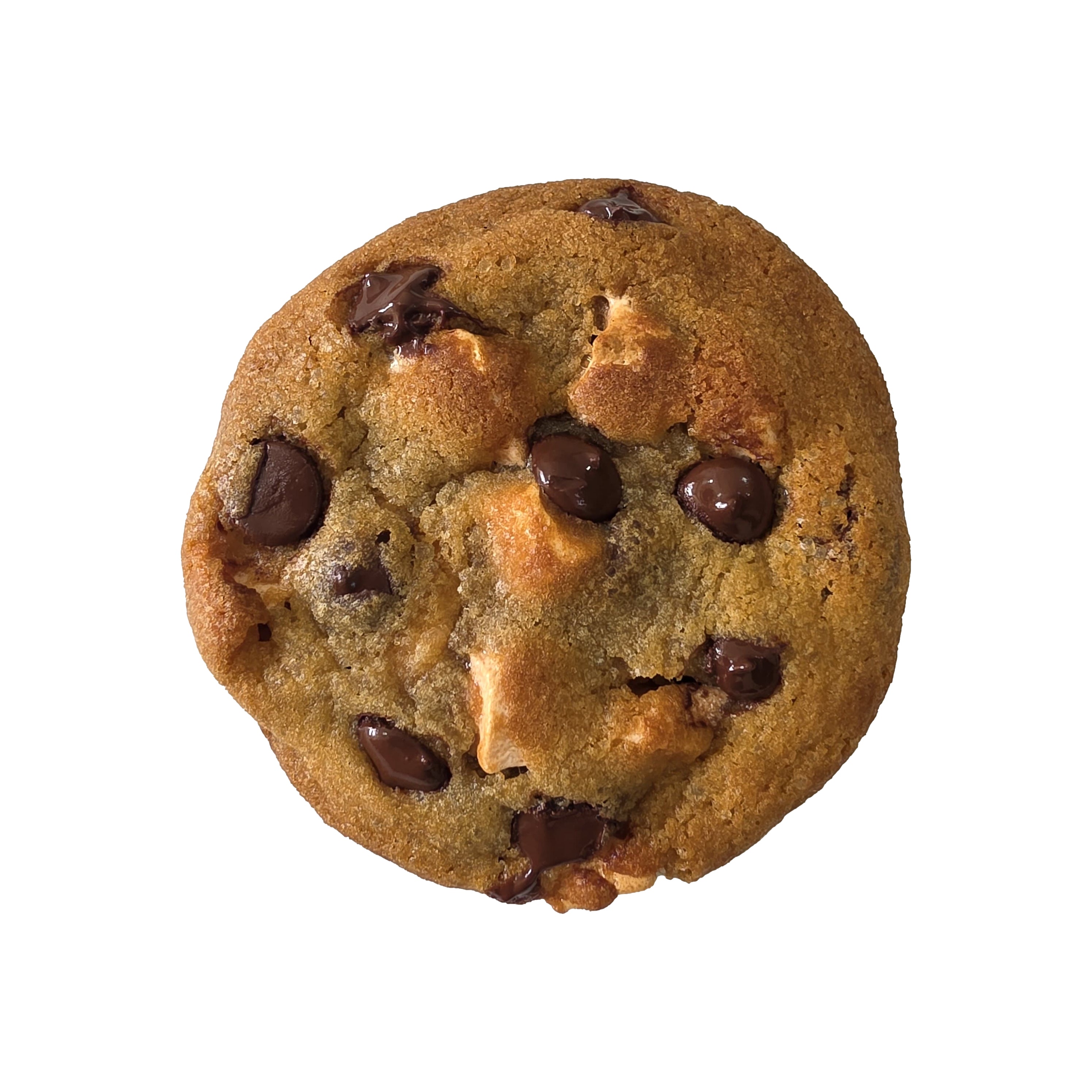 S'mores Chocolate Chip Cookie